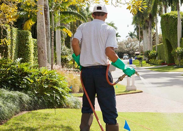 About North Versailles PA Pest Control Pros